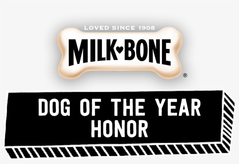 Dogs Do More For Us Every Day, So Why Aren't They Honored - Milk-bone Marosnacks Dog Snacks - For All Sizes, 30-ounce, transparent png