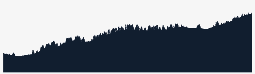 Is Religion Opposed To Science - Shortleaf Black Spruce, transparent png