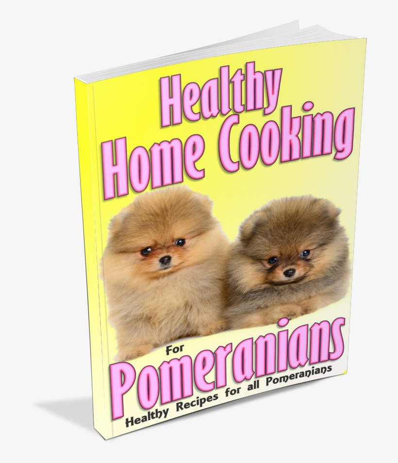 Feeding Your Pomeranian Archives - Pomeranian, transparent png