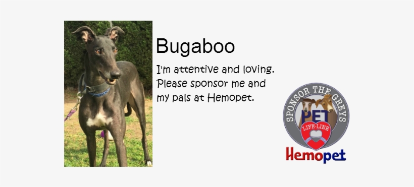Sponsor The Hemopet Greyhounds - Sponsor, transparent png