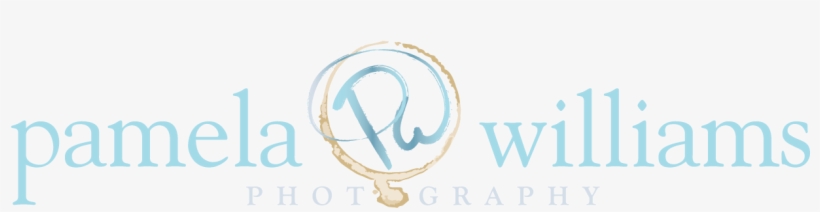 Photography, transparent png