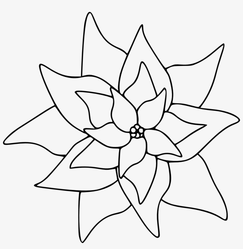 The Poinsettia Image In This Free Digital Stamp Is - Poinsettia Clipart Black And White, transparent png
