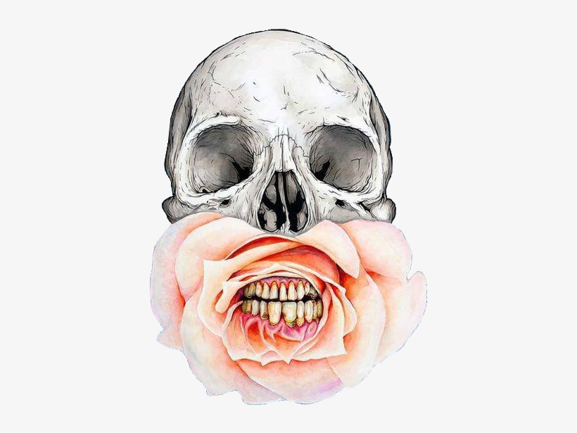 Skull, Flowers, And Rose Image - Skulls Flowers, transparent png