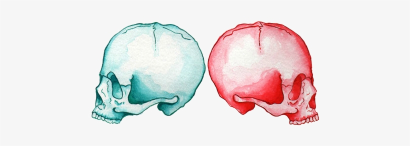 Skulls Http - //25 - Media - Tumblr - Com/d0192d2bf9d7 - Drawing, transparent png