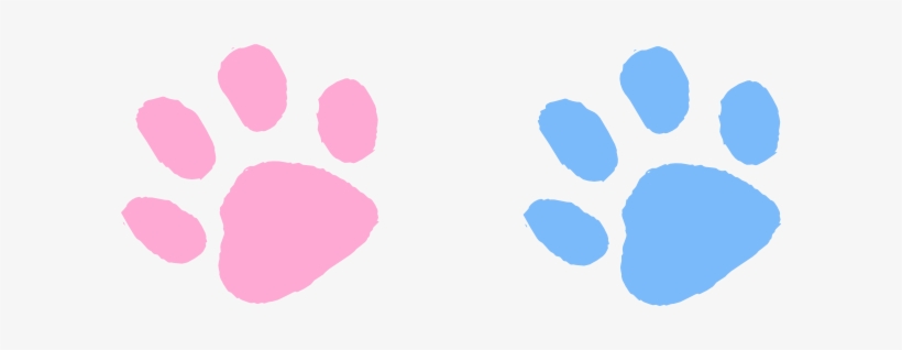 Pink Clipart Paw Print - Blue And Pink Paws, transparent png