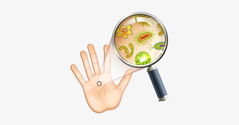 Seems Human, Right Look At It With A Microscope, Though, - Bacteria In Your Hand, transparent png