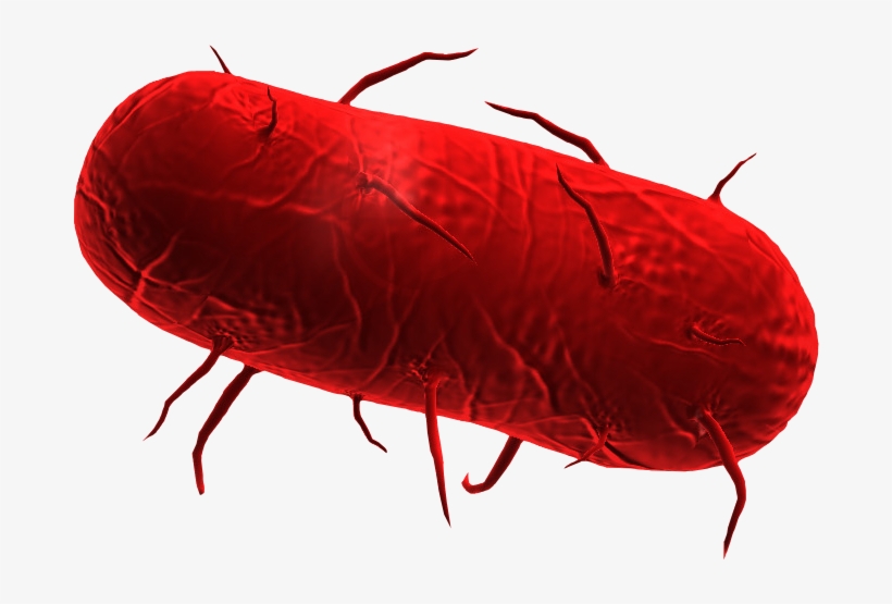 Plague Inc Bacteria - Plague Inc., transparent png