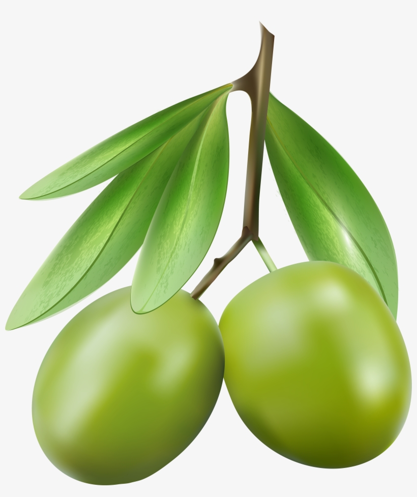 Hand Painted Olives Watercolor Clipart - Portable Network Graphics, transparent png