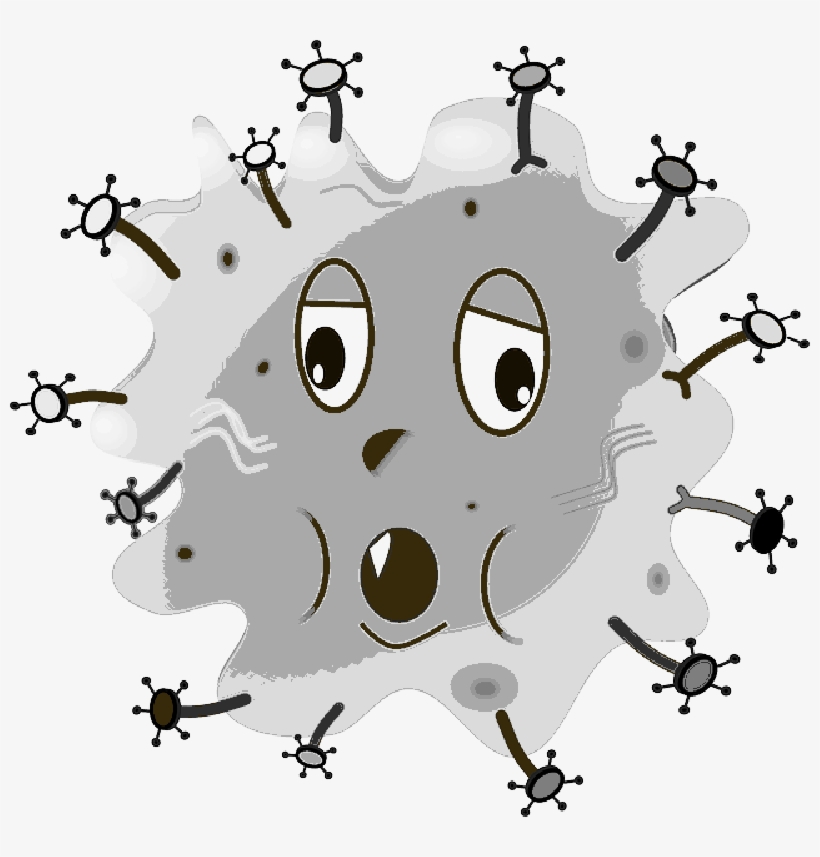 Free Png Germs Images Pluspng Pluspngcom Mb - Germ Clip Art, transparent png