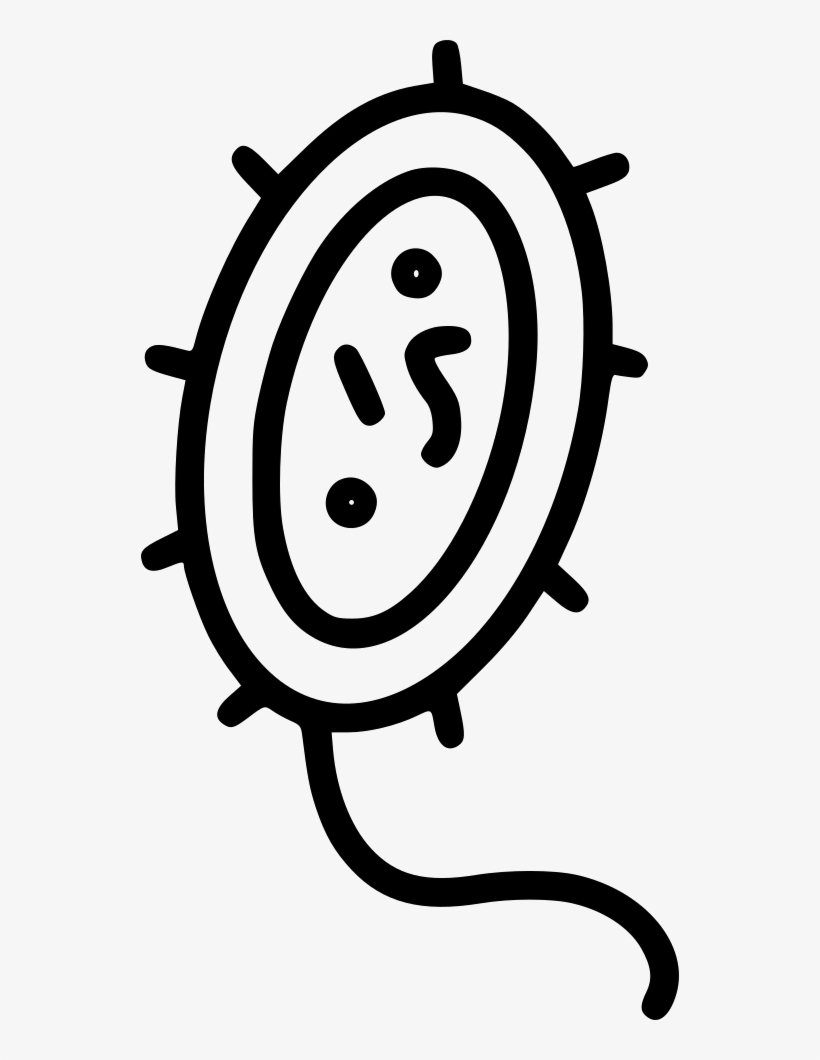 Bacteria Comments - Antimicrobial, transparent png