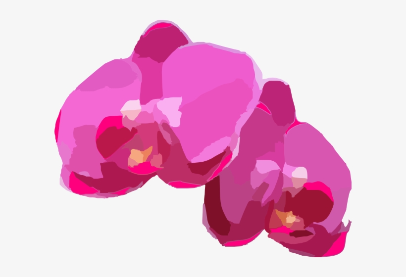 Banner Black And White Pink Orchids Clip Art At Clker - Vector Image Orchid Png, transparent png