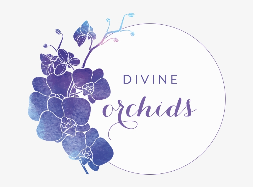 Encinitas, Ca Florist - Orchids Logo, transparent png