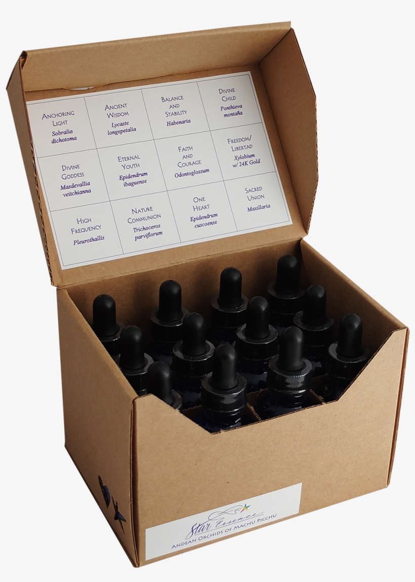 Original 12 Andean Orchids - Orchids, transparent png