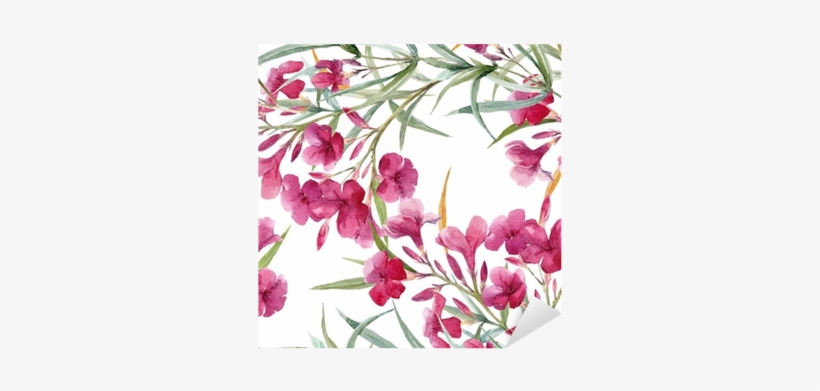 Adelfa Flower Border, transparent png