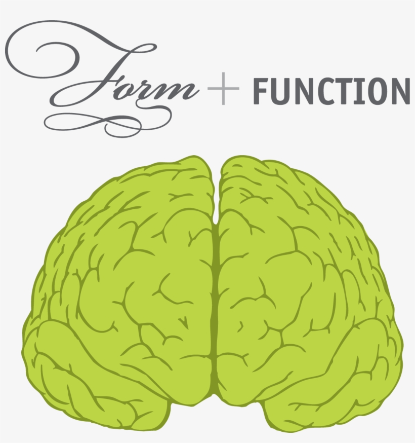 Boom Shaka - Brain Front View, transparent png