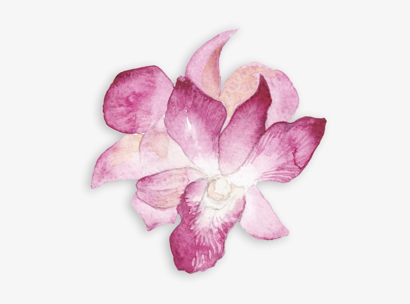 Displays, Seminars And Sales - South Coast Plaza, transparent png