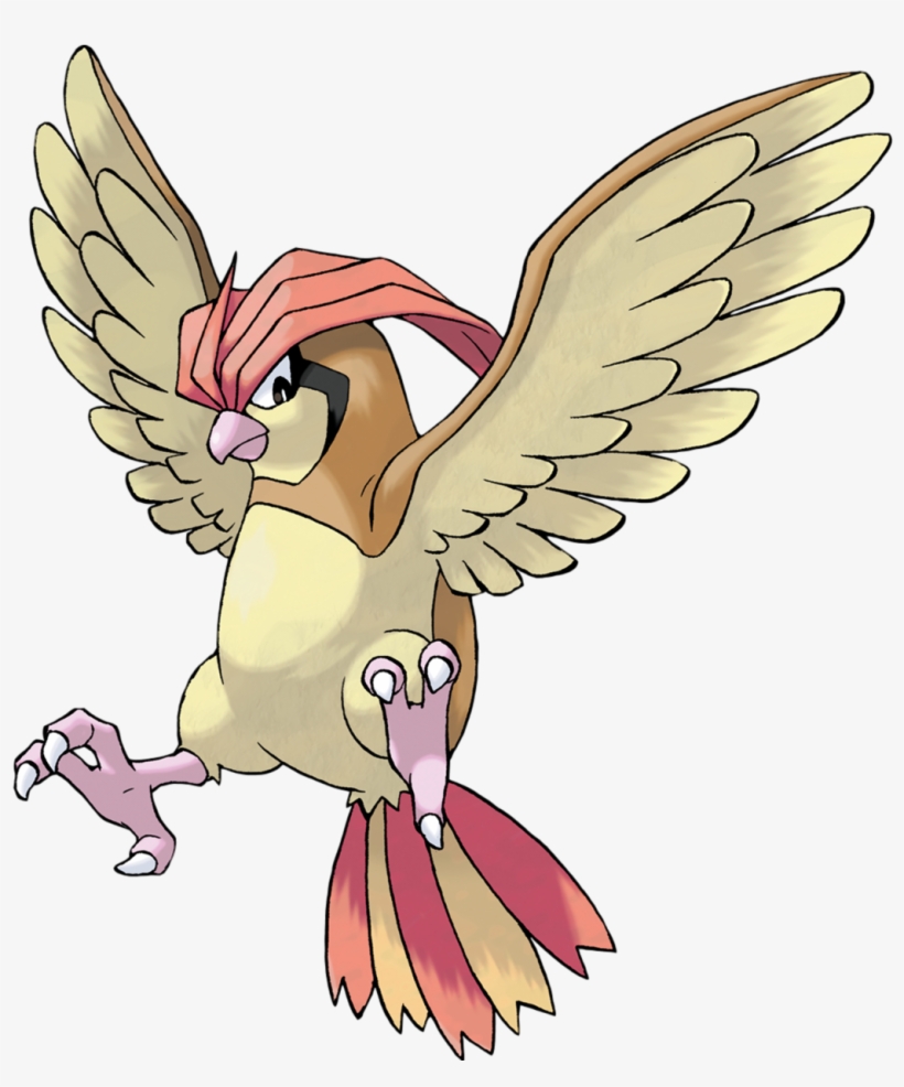 Pidgeotto - Pokemon Pidgeotto, transparent png