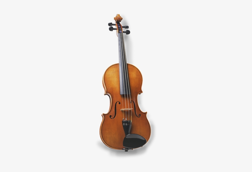 Double Bass Stentor Student Ii, transparent png