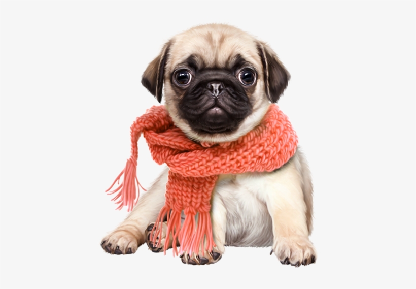 Animal - Cute Dog Png, transparent png