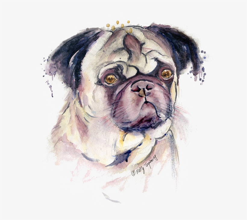 Click And Drag To Re-position The Image, If Desired - Watercolor Painting, transparent png