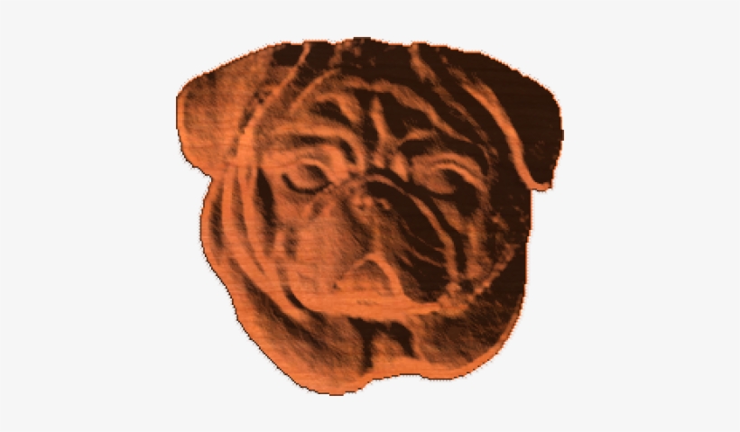Pug Face - Ab - - Dog, transparent png