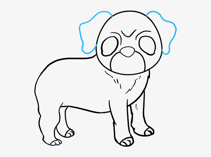 How To Draw Pug - Drawing, transparent png