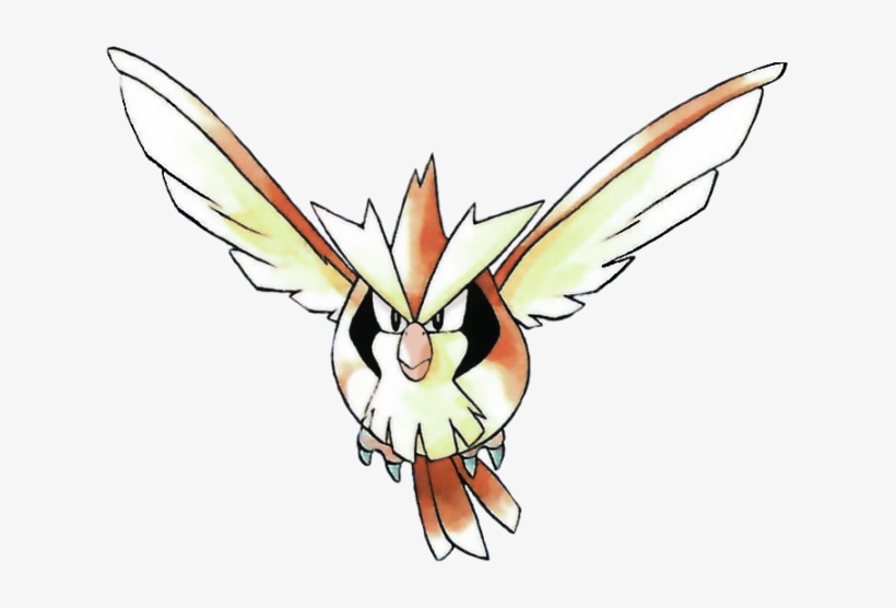 Pidgey-ken - Pokémon, transparent png