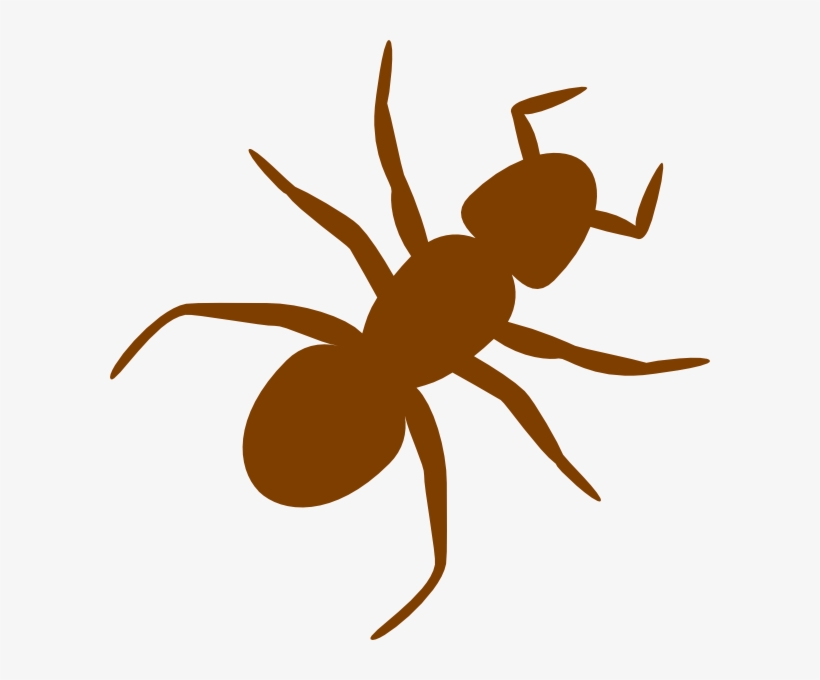 Brown Ant Svg Clip Arts 600 X 600 Px, transparent png