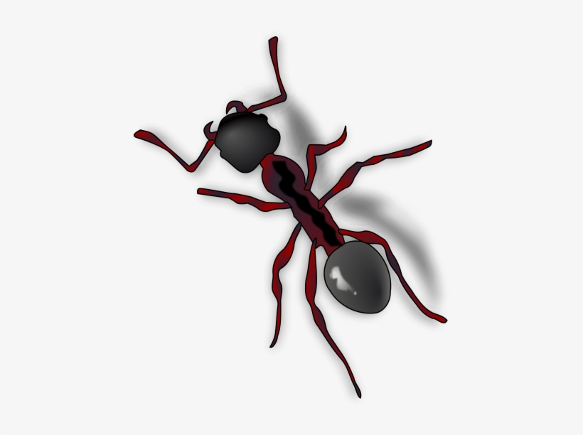 Free Png Ant Png Images Transparent - Ant Clip Art, transparent png