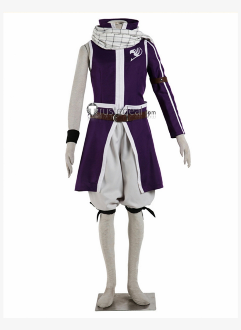Fairy Tail Erza Gray Natsu Lucy Elfman Wendy Grand - Natsu Kids Costume, transparent png