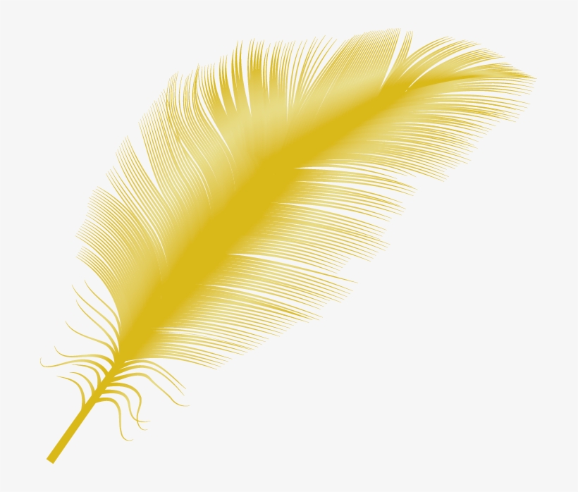Feather Falling Png - Transparent Yellow Feather Png, transparent png