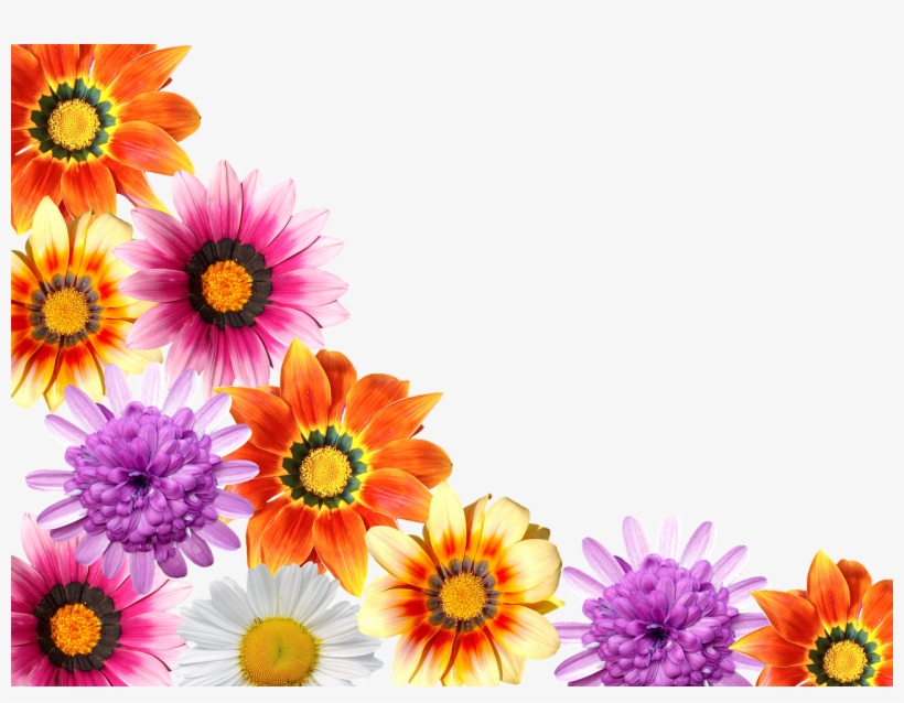 Flowers Summer Garden - Stock.xchng, transparent png