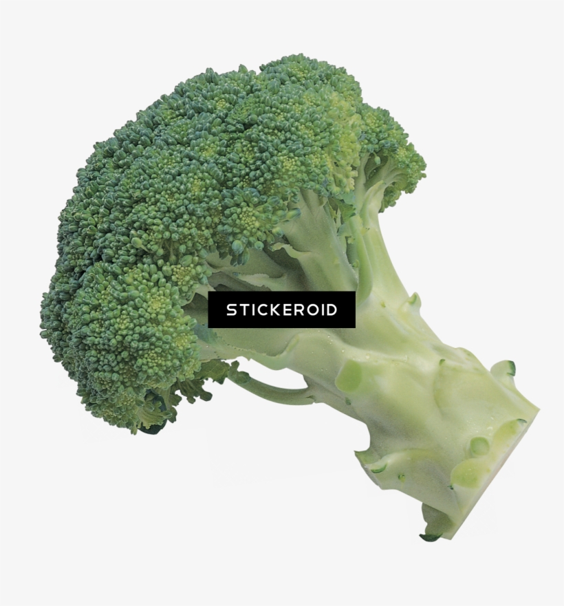 Broccoli - Broccoli Transparent Background, transparent png