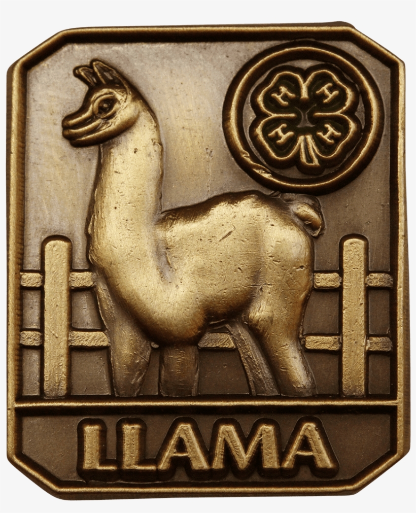 Llama Pin - Emblem, transparent png