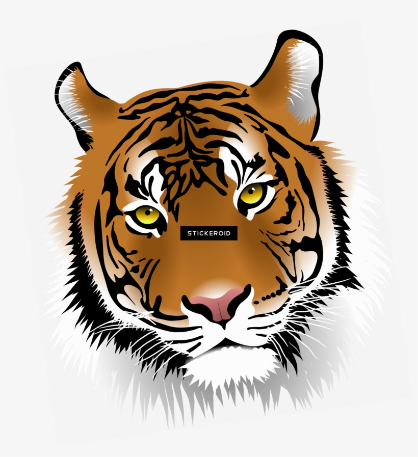 White Tiger - Tigers Clip Art, transparent png
