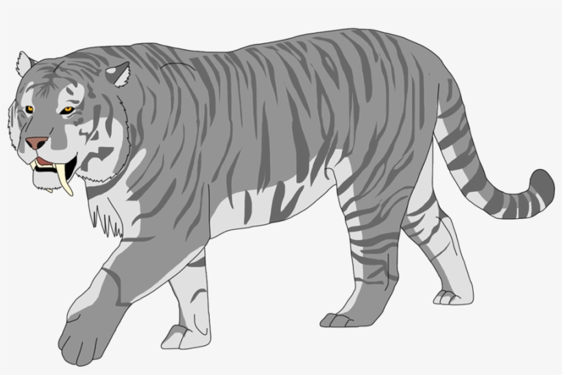 Snosabel Tiger - Siberian Tiger, transparent png