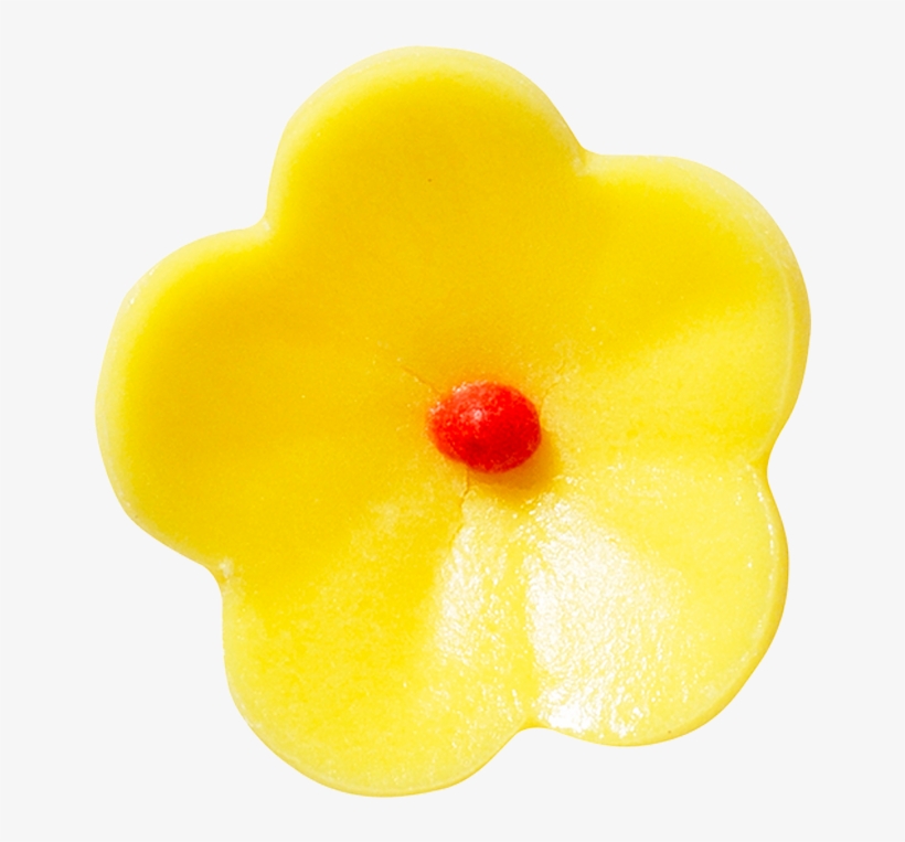 Almond, transparent png