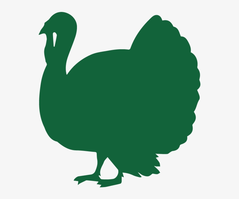 Turkey Silhouette, transparent png