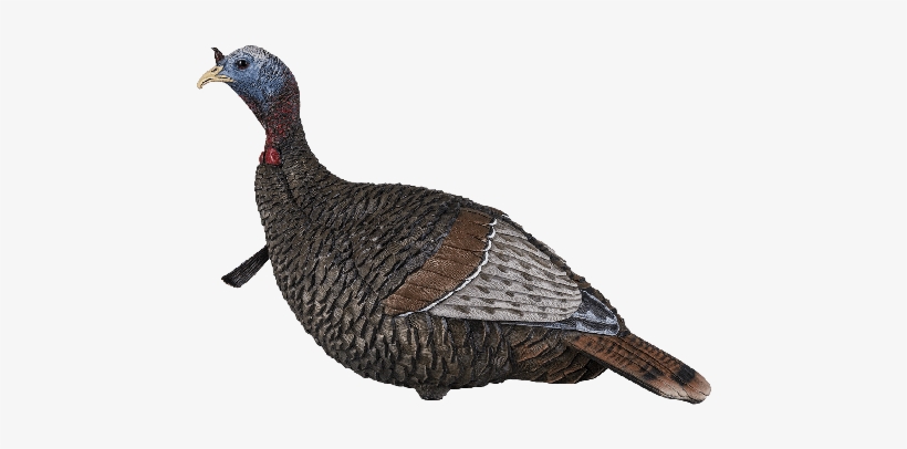 Flextone 1/4-strut Thunder Jake Decoy, transparent png