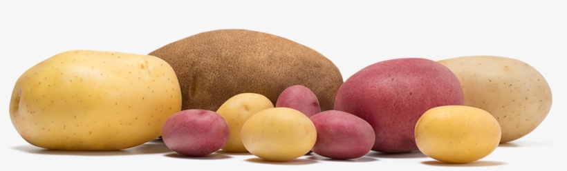 Potato, transparent png