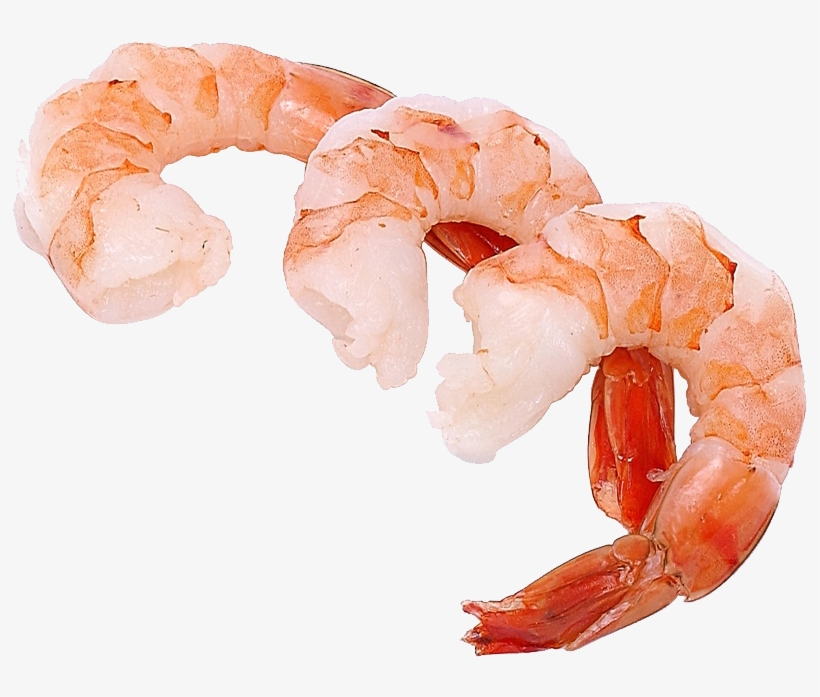 Shrimps Png - Shrimp Transparent, transparent png