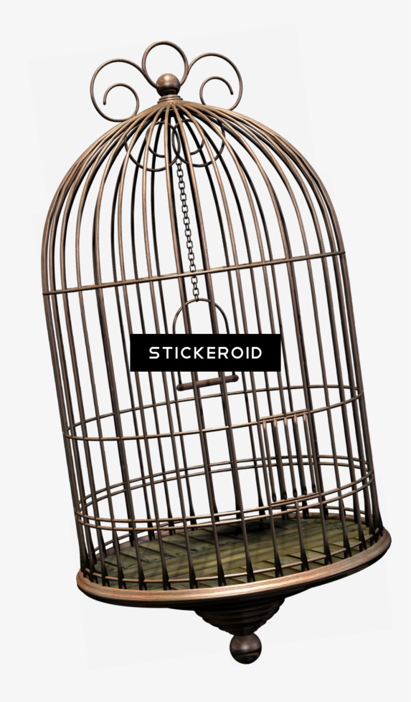 Cage Bird Objects - Bird Cage Png, transparent png