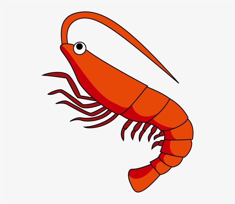 Red Shrimp Png Download Image - Clip Art Of Shrimp, transparent png