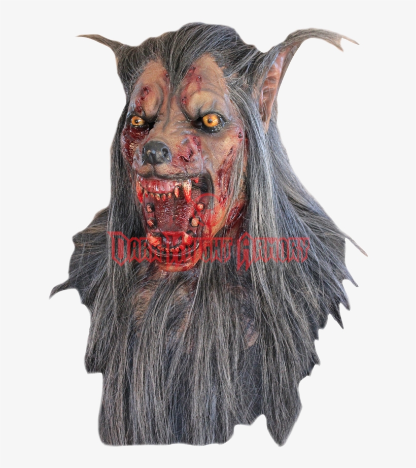 Brown Wolf Mask - Mascaras De Latex Lobo, transparent png