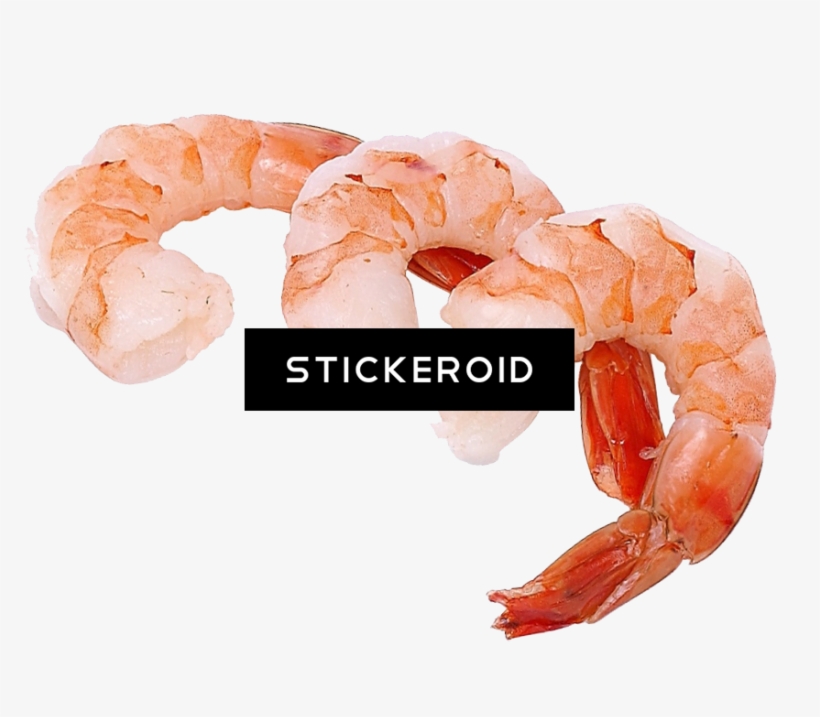 Shrimps - Some Shrimp On Your Tile Coaster, transparent png