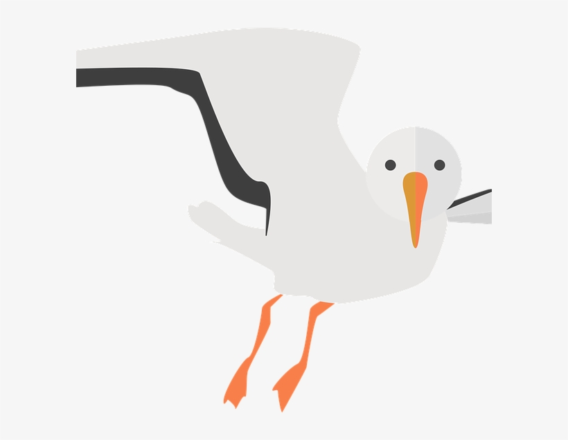 Seagull-600x556 - Illustration, transparent png