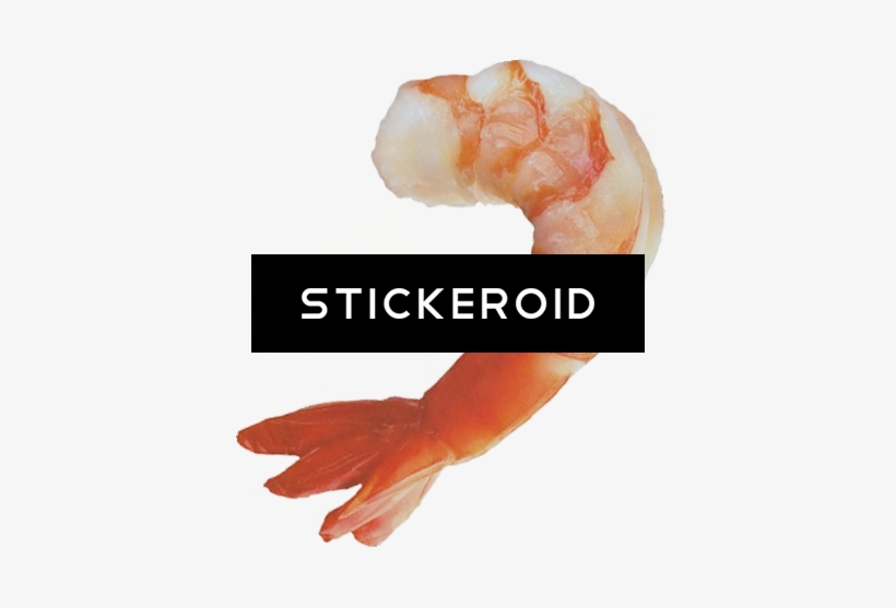Shrimps - Jumbo Shrimp Oval Ornament, transparent png