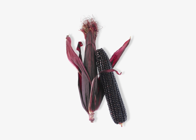 16 Superfood Products Taking Flight Today - Purple Corn Anthocyanin Content, transparent png
