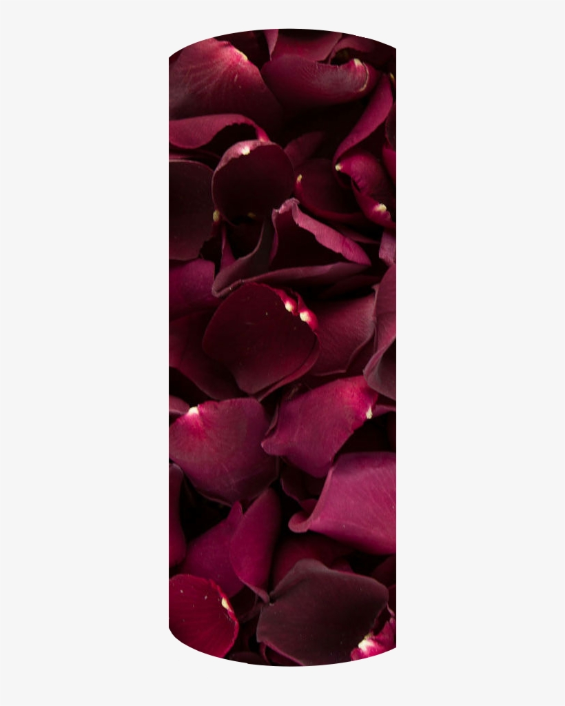 Romantic Bed Of Rose Petals 3 - Burgundy, transparent png