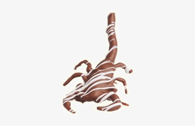 Chocolate Covered Scorpion, transparent png